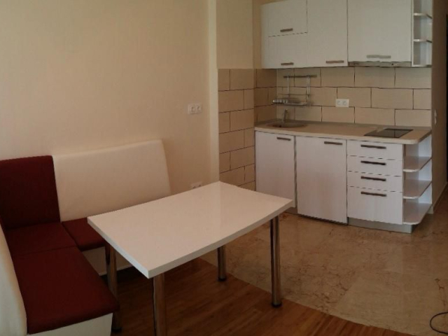 Apartament nou de inchiriat, 1 camera,  open-space,  30 mp, Copou,  (Exclusive Residence / Stadionul Municipal) 161970