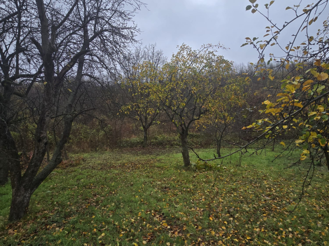 Teren  Tomesti Biserica 500mp  160515