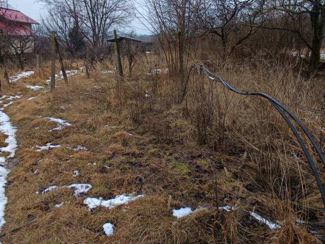 Teren  Bucium dupa Lidl 1000mp  161582