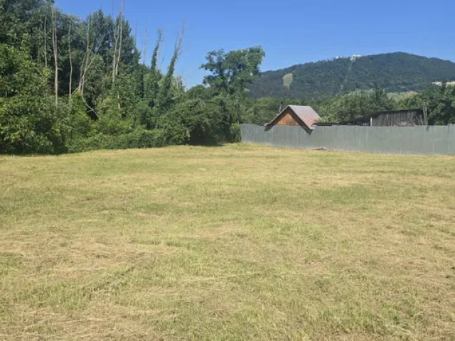 Teren  Sud Valea Alba 1160mp  163044