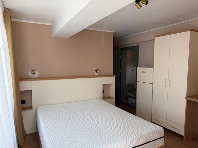 Apartament 1 camere - Pacurari