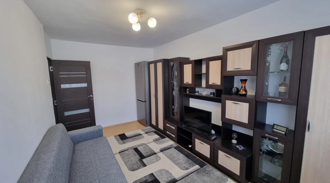 Oferta Apartament de inchiriat, 1 camera, 23 mp, Pacurari,  Moara de Foc imagine 2