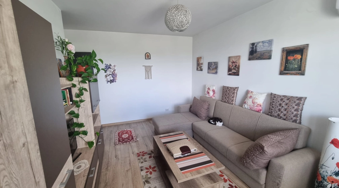 Oferta Apartament nou de vanzare, 2 camere, decomandat, 45 mp, Bucium,  Trei Fantani imagine 3