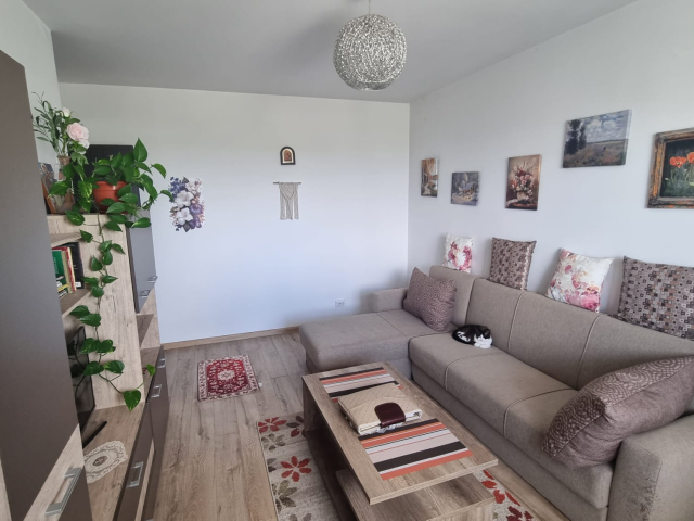 Apartament nou de vanzare, 2 camere,  decomandat,  45 mp, Bucium,  (Trei Fantani) 162560