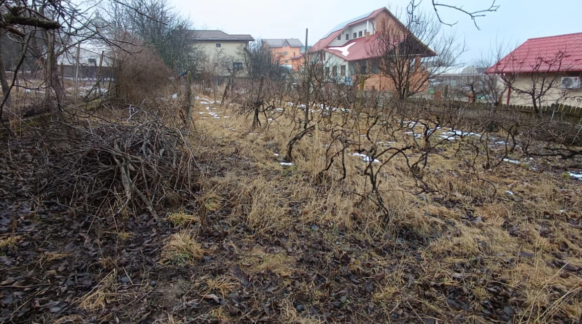 Oferta Teren de vanzare Bucium dupa Lidl 1000 mp  imagine 4