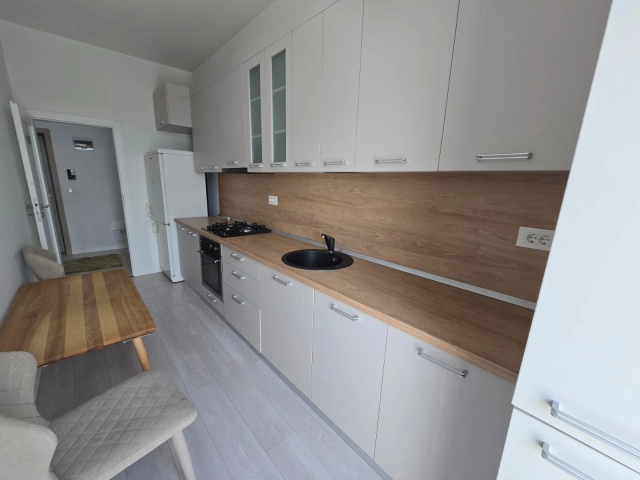 Apartament 1 camere - Bucium