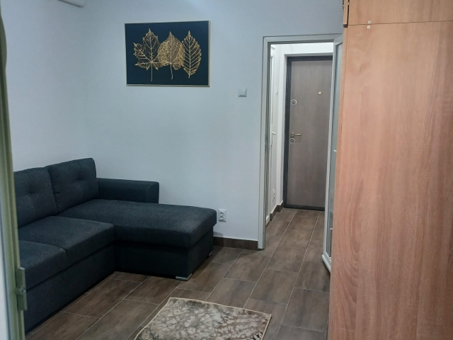 Zimbru apartament  42 mp, 1 camera,  decomandat, de inchiriat,  (Scoala Gimnaziala George Calinescu) 162744