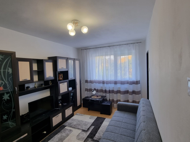 Apartament de inchiriat, 1 camera,  ,  23 mp, Pacurari,  (Moara de Foc) 163485