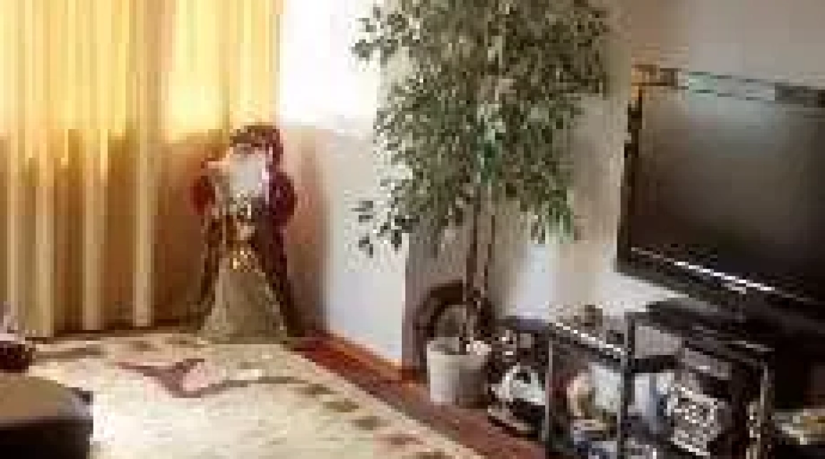 Oferta 2 camere, semidecomandat, 50 mp, de vanzare apartament in zona Maratei,  Posta Maratei imagine 1