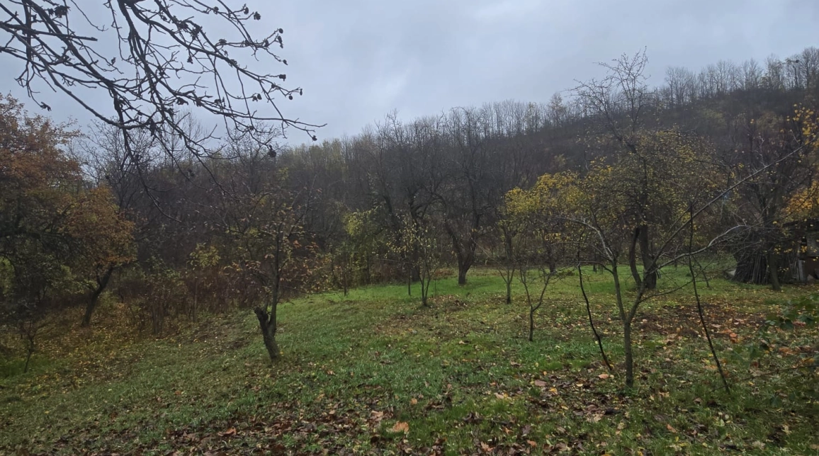 Oferta Teren de vanzare Tomesti Biserica 500 mp  imagine 3