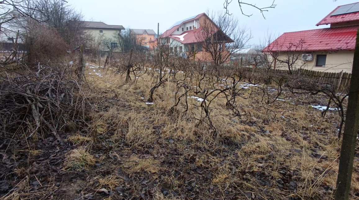 Oferta Teren de vanzare Bucium dupa Lidl 1000 mp  imagine 5