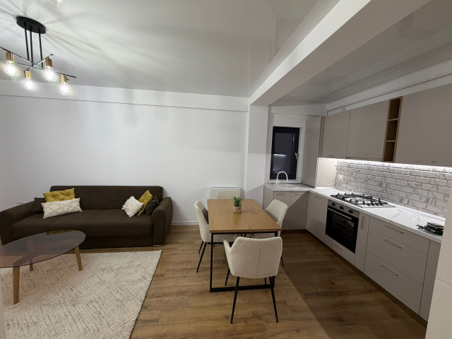 Apartament nou, 2 camere  open-space,  45 mp, Visani, de inchiriat,  (TLT) 162431