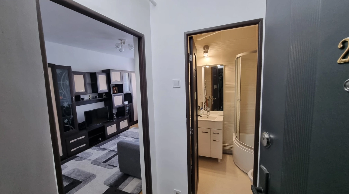 Oferta Apartament de inchiriat, 1 camera, 23 mp, Pacurari,  Moara de Foc imagine 4