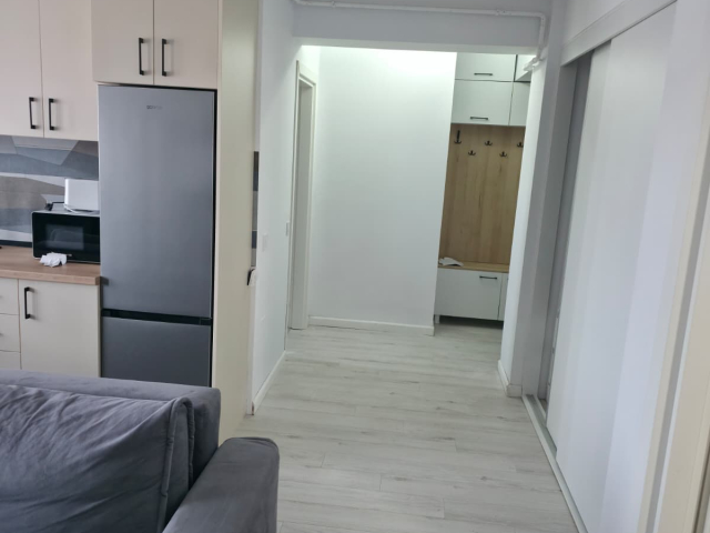 Apartament nou, 2 camere  open-space,  45 mp, Visani, de vanzare,  (Profi Visan) 162136