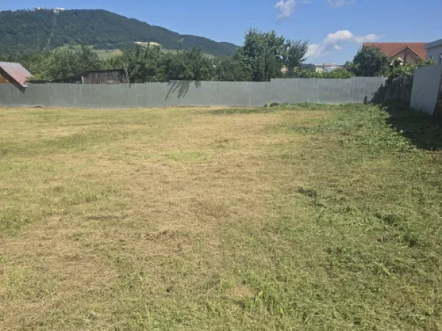 Teren  Sud Valea Alba 1160mp  163044