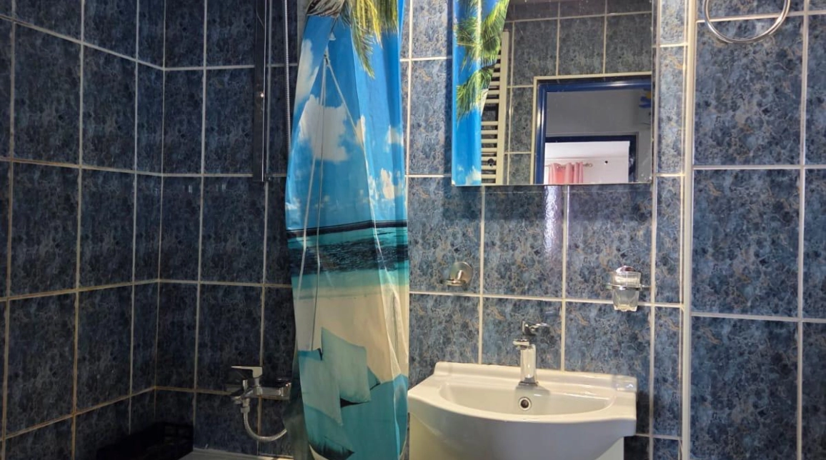 Oferta Apartament de inchiriat, 3 camere, decomandat, 52 mp, Tatarasi,  Piata Chirila imagine 8