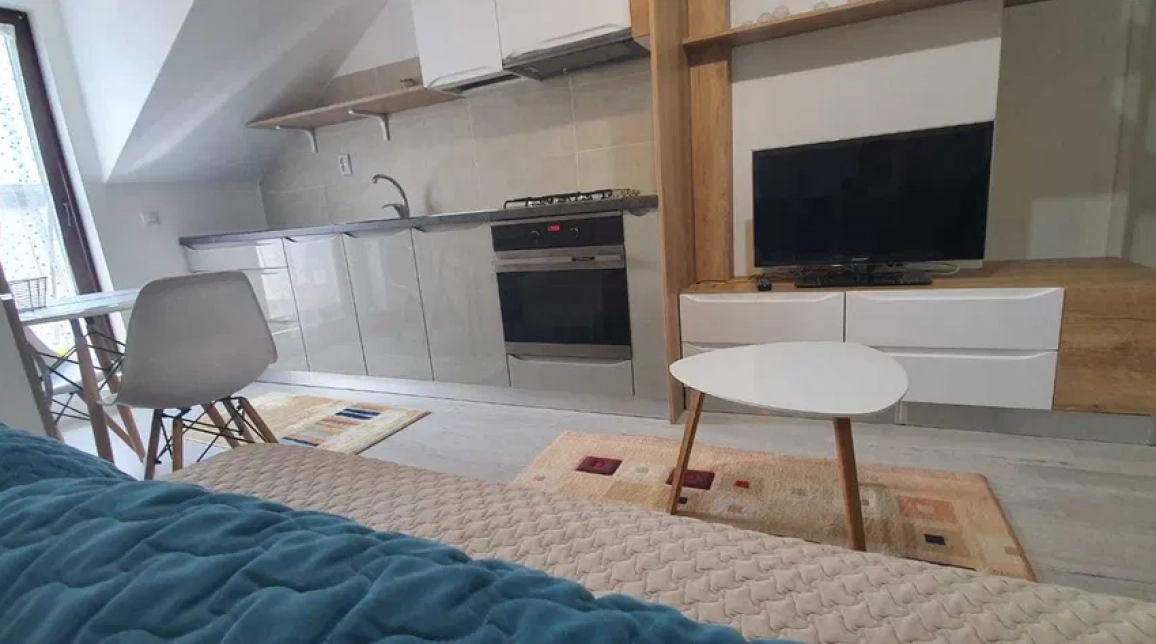 Oferta Apartament, 2 camere open-space, 46 mp, Centru Civic, de vanzare,  PALAS MALL imagine 1