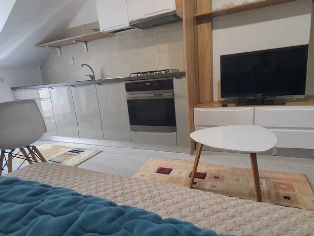 Apartament, 2 camere  open-space,  46 mp, Centru Civic, de vanzare,  (PALAS MALL) 161101