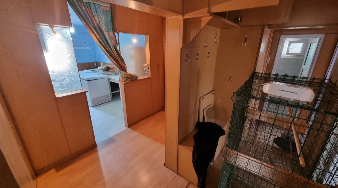 Oferta 4 camere, decomandat, 93 mp, de vanzare apartament in zona Tomesti,  Scoala Patrascanu imagine 14