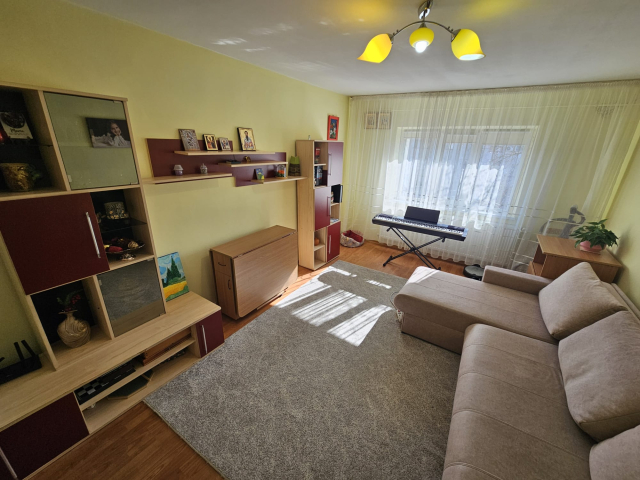 Apartament, 3 camere  decomandat,  71 mp, Nicolina, de vanzare,  (Profi Clopotari) 161726