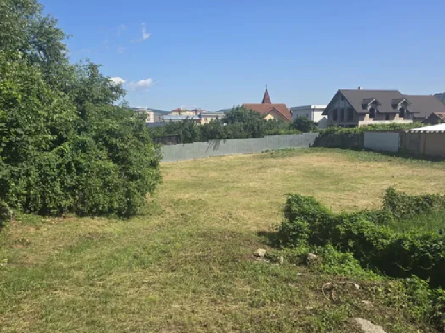 Teren  Sud Valea Alba 1160mp  163044