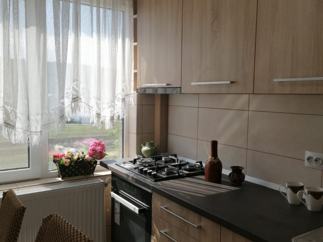 2 camere,  decomandat,  54 mp, de inchiriat apartament in zona Alexandru cel Bun,  (policlinica stomatologica) 163293