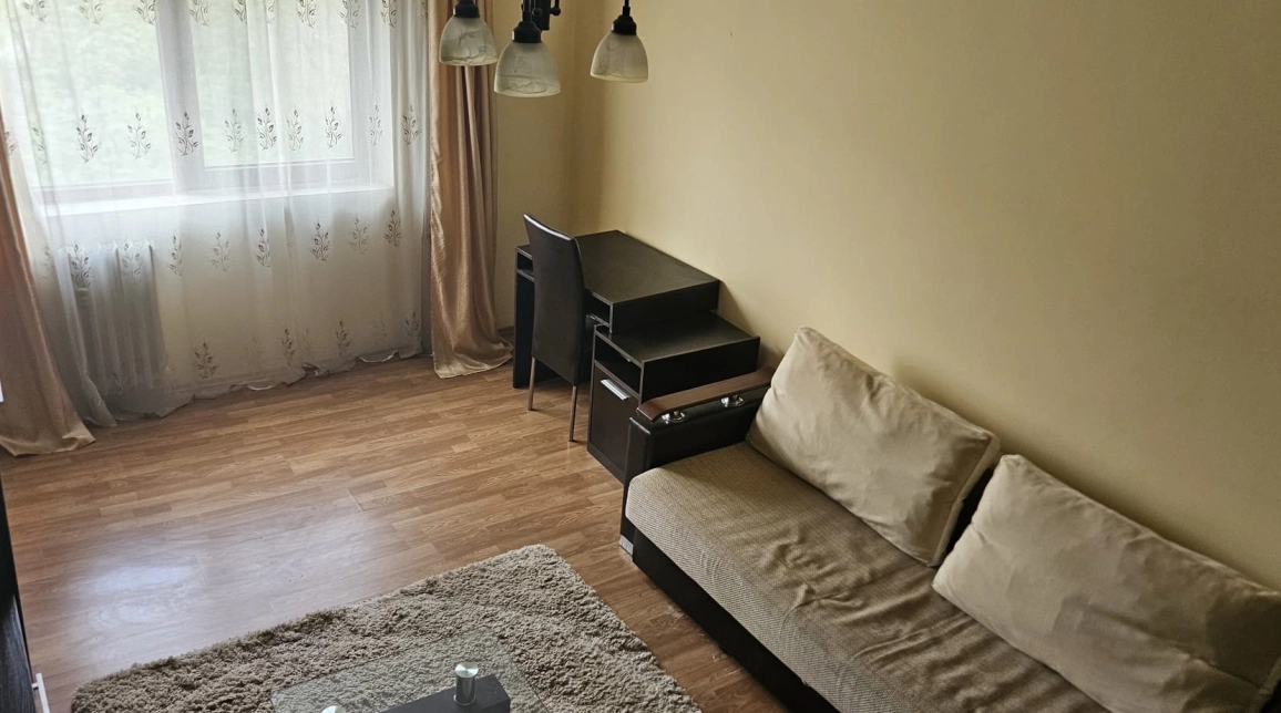 Oferta Apartament de vanzare, 1 camera, decomandat, 34 mp, Tatarasi,  Piata Doi Baieti imagine 8