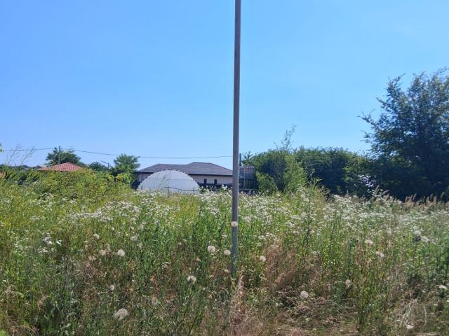 Teren  Valea Ursului dupa casuta cu furare spre padure 600mp  162770