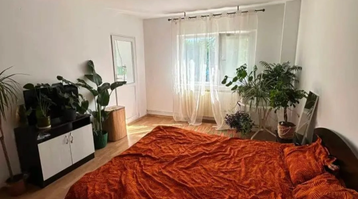 Oferta Apartament, 1 camera decomandat, 35 mp, Nicolina, de vanzare,  Prima statie imagine 3