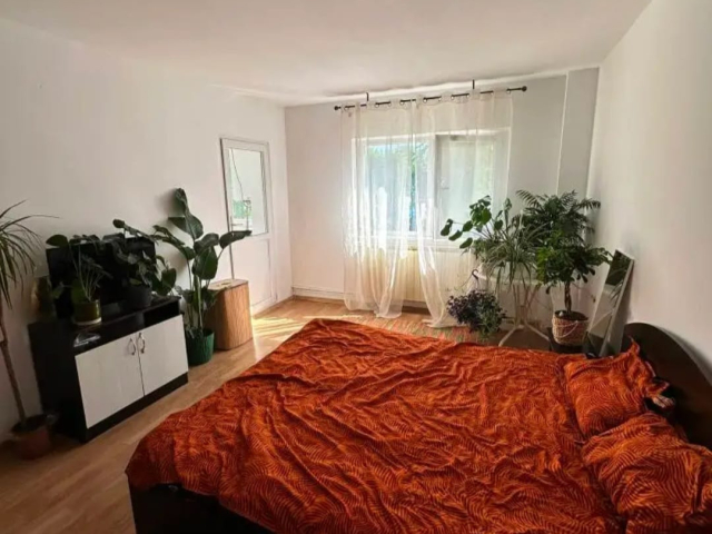 Apartament, 1 camera  decomandat,  35 mp, Nicolina, de vanzare,  (Prima statie ) 162636