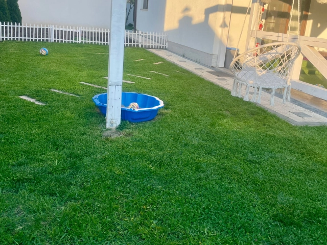 Apartament 4 camere - Valea Lupului
