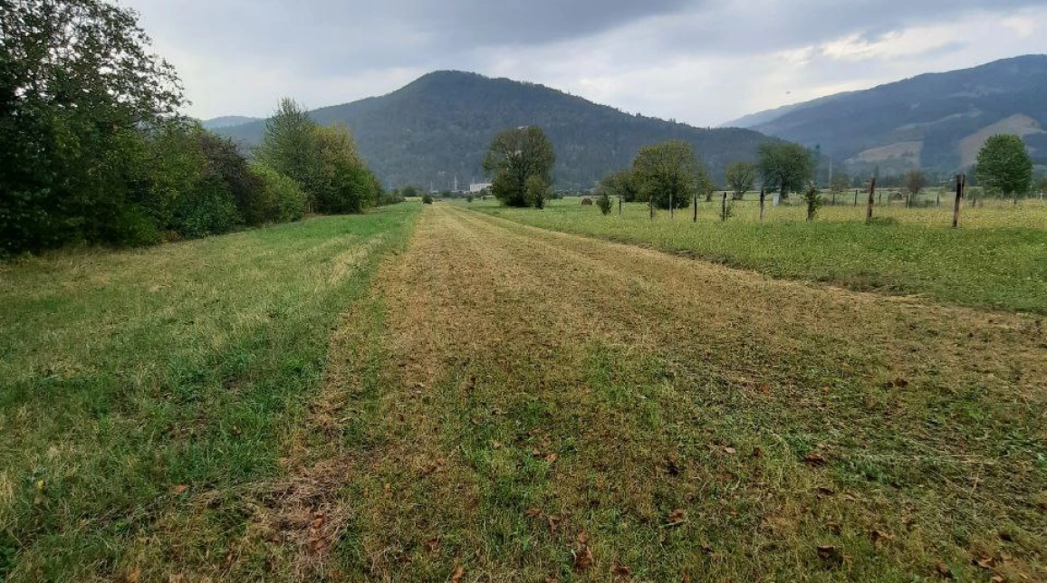 Oferta Teren de vanzare Pangarati Stejaru 2235 mp  imagine 2