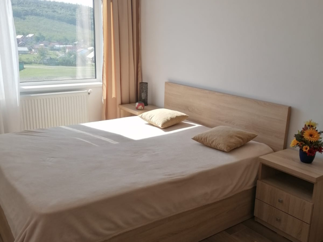 2 camere,  decomandat,  54 mp, de inchiriat apartament in zona Alexandru cel Bun,  (policlinica stomatologica) 163293