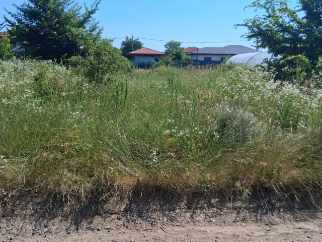 Teren  Valea Ursului dupa casuta cu furare spre padure 600mp  162770