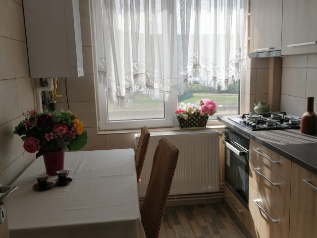 2 camere,  decomandat,  54 mp, de inchiriat apartament in zona Alexandru cel Bun,  (policlinica stomatologica) 163293
