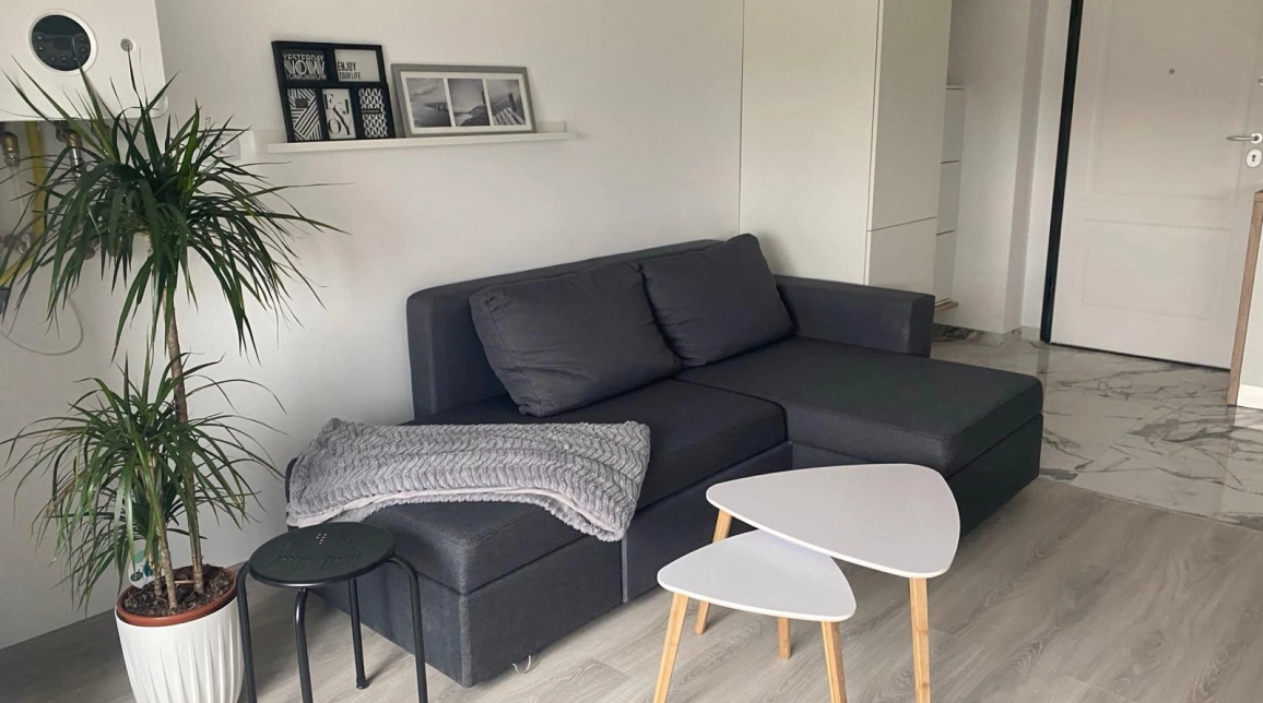 Oferta 1 camera, open-space, 38 mp, de vanzare apartament in zona Tatarasi,  Kaufland,Doi baieti imagine 5