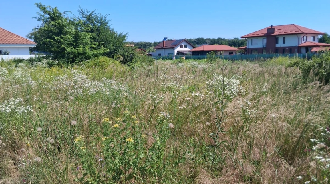 Oferta Teren de vanzare Valea Ursului dupa casuta cu furare spre padure 600 mp  imagine 1