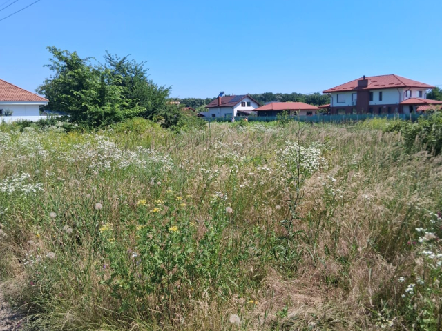 Teren  Valea Ursului dupa casuta cu furare spre padure 600mp  162770