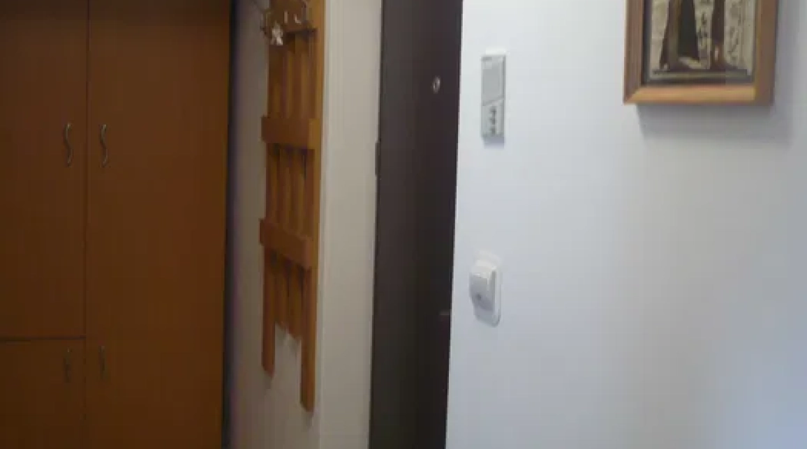 Oferta Apartament, 1 camera decomandat, 30 mp, Centru Civic, de inchiriat,  Stefan Cel Mare imagine 3