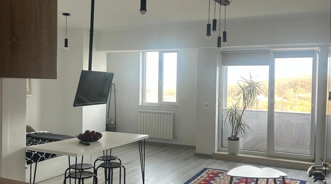 Oferta 1 camera, open-space, 38 mp, de vanzare apartament in zona Tatarasi,  Kaufland,Doi baieti imagine 1