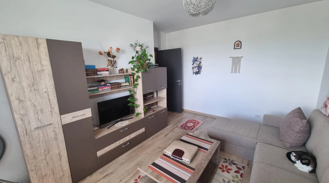 Oferta Apartament nou de vanzare, 2 camere, decomandat, 45 mp, Bucium,  Trei Fantani imagine 2