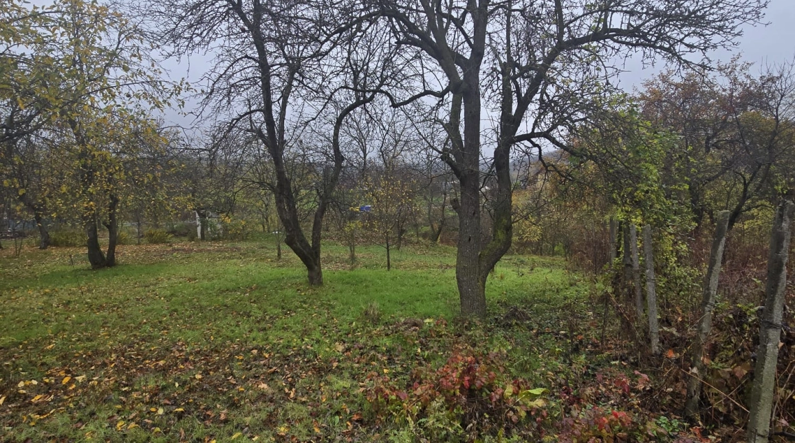 Oferta Teren de vanzare Tomesti Biserica 500 mp  imagine 6