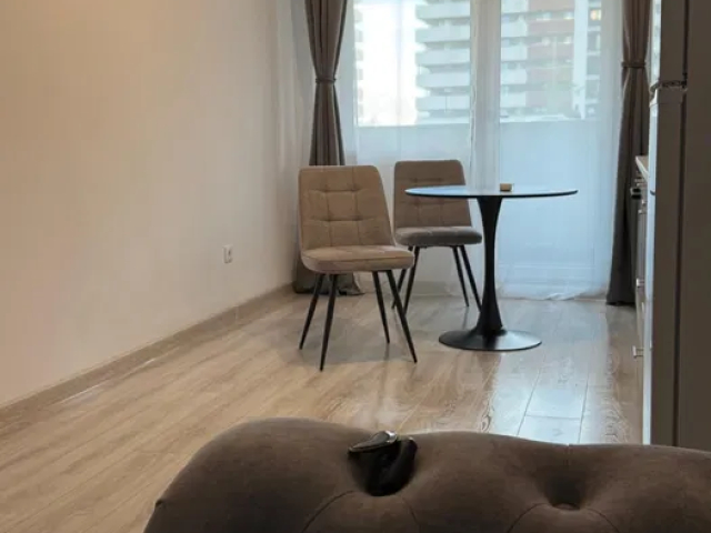 Apartament nou, 2 camere  open-space,  50 mp, Copou, de inchiriat,  (Al.sadoveanu) 161631