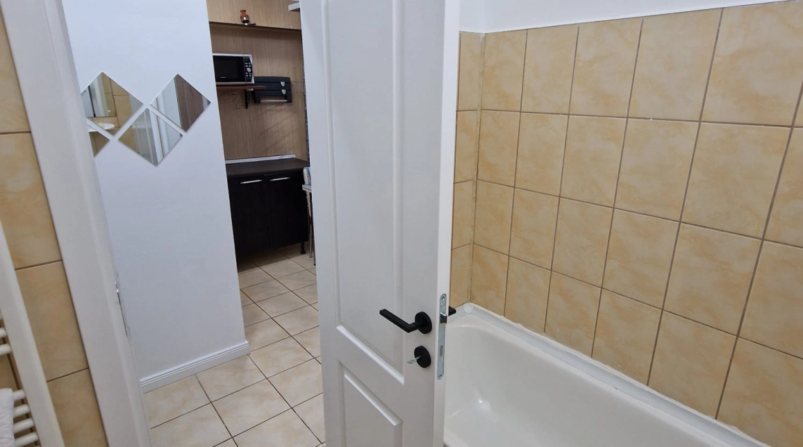 Oferta Garsoniera de vanzare, 33 mp, Baza 3,  Granit imagine 8