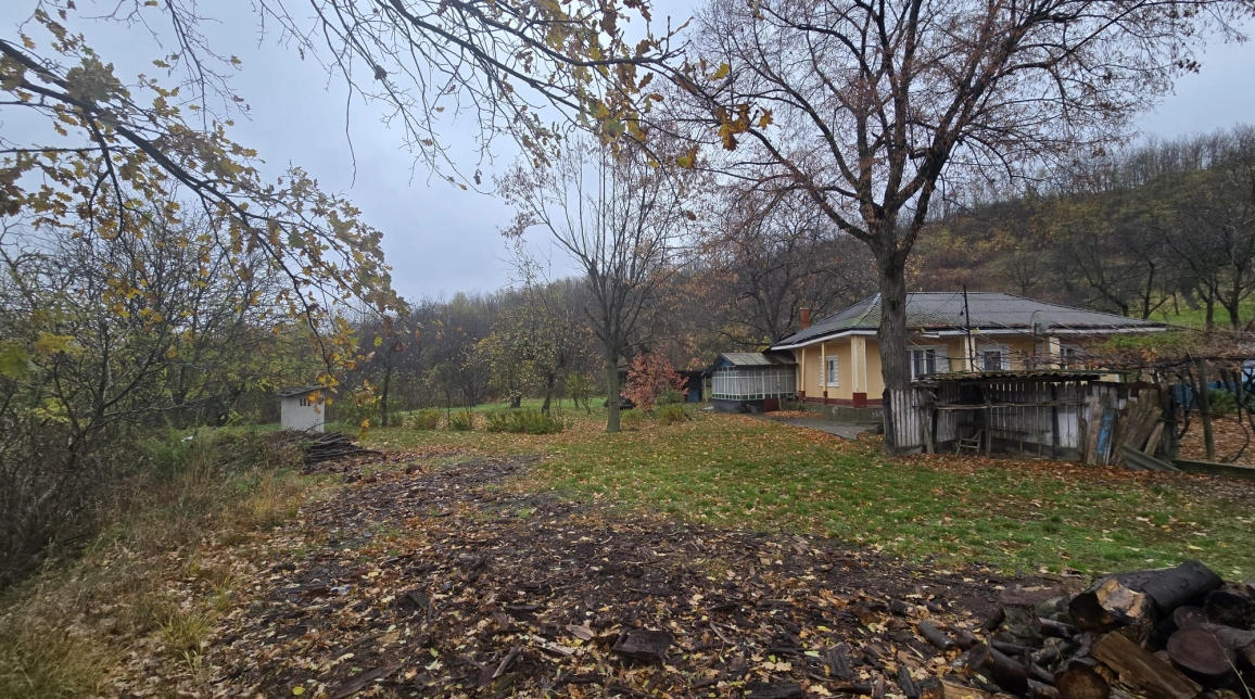 Oferta Teren de vanzare Tomesti Biserica 500 mp  imagine 7