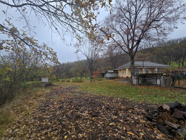 Teren  Tomesti Biserica 500mp  160516