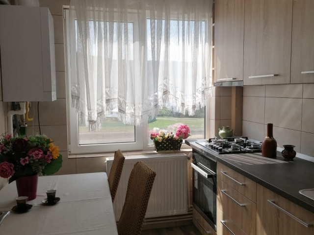 2 camere,  decomandat,  54 mp, de inchiriat apartament in zona Alexandru cel Bun,  (policlinica stomatologica) 163293