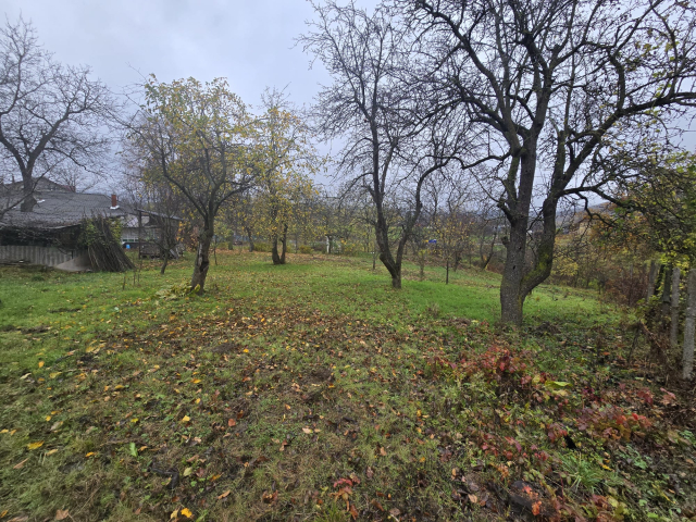 Teren  Tomesti Biserica 500mp  160517