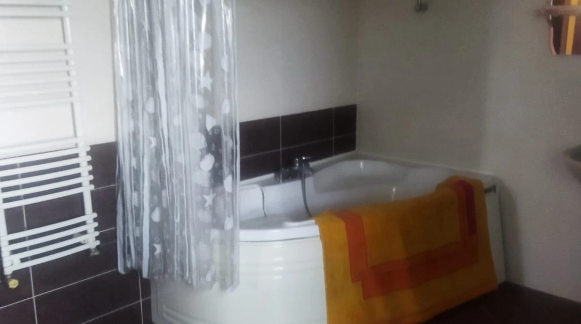 Oferta De vanzare casa, 9 camere, 400 mp, Bucium,  dupa scoala Veronica Micle imagine 14