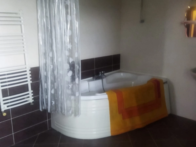 Apartament 9 camere - Bucium